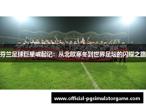 芬兰足球巨星崛起记：从北欧寒冬到世界足坛的闪耀之路