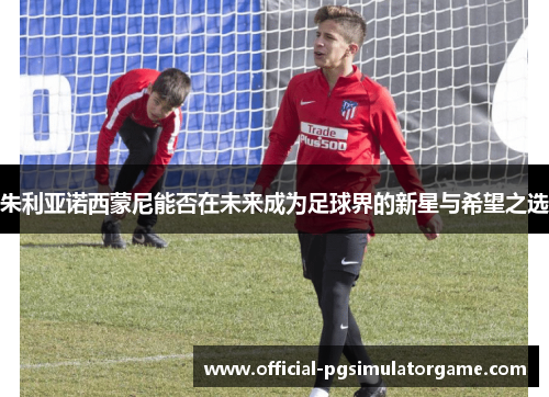 朱利亚诺西蒙尼能否在未来成为足球界的新星与希望之选