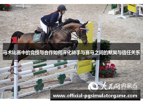 马术比赛中的竞技与合作如何深化骑手与赛马之间的默契与信任关系