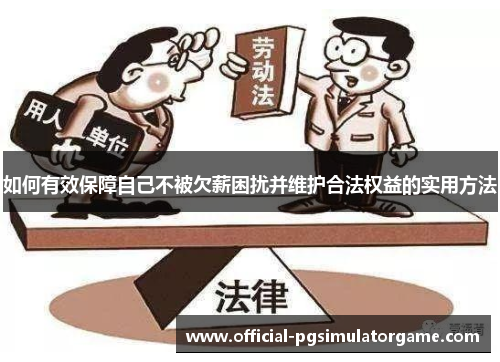 如何有效保障自己不被欠薪困扰并维护合法权益的实用方法
