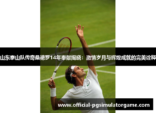 山东泰山队传奇桑德罗14年奉献揭晓：激情岁月与辉煌成就的完美诠释