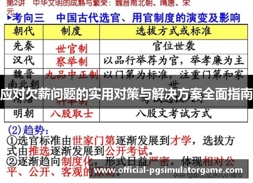 应对欠薪问题的实用对策与解决方案全面指南