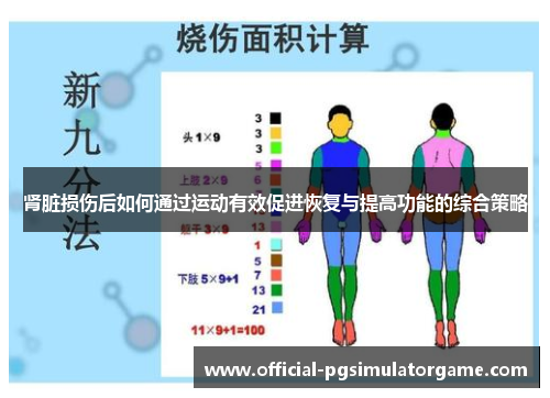 肾脏损伤后如何通过运动有效促进恢复与提高功能的综合策略