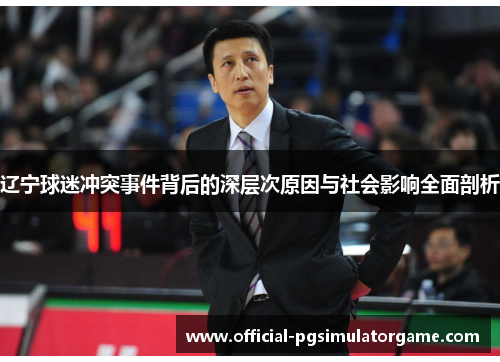 辽宁球迷冲突事件背后的深层次原因与社会影响全面剖析