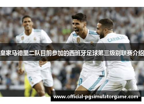 皇家马德里二队目前参加的西班牙足球第三级别联赛介绍