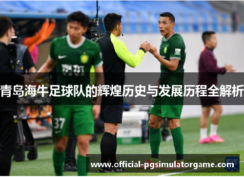 青岛海牛足球队的辉煌历史与发展历程全解析