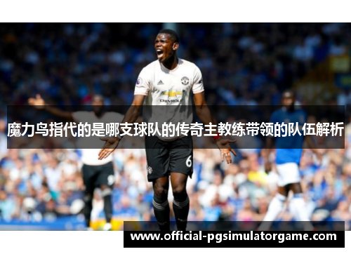 魔力鸟指代的是哪支球队的传奇主教练带领的队伍解析