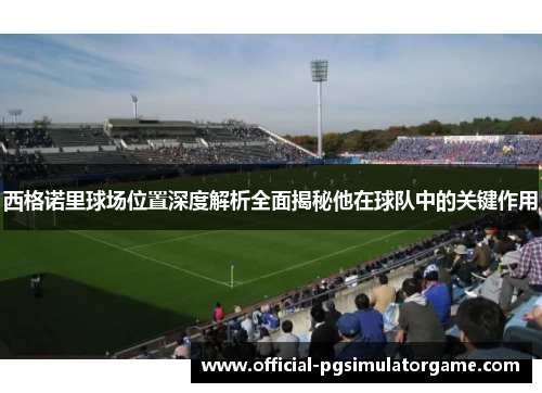 西格诺里球场位置深度解析全面揭秘他在球队中的关键作用