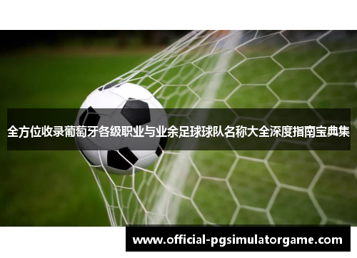 全方位收录葡萄牙各级职业与业余足球球队名称大全深度指南宝典集