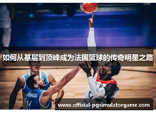 如何从基层到顶峰成为法国篮球的传奇明星之路