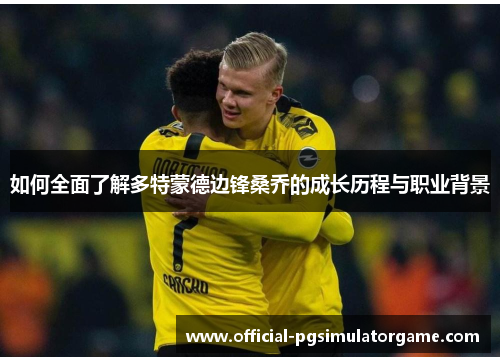 如何全面了解多特蒙德边锋桑乔的成长历程与职业背景