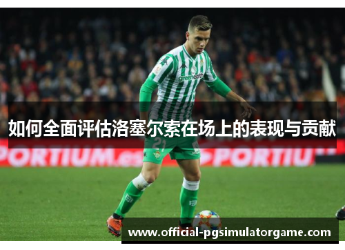 如何全面评估洛塞尔索在场上的表现与贡献