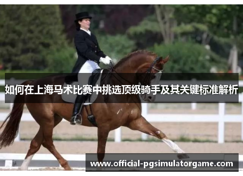 如何在上海马术比赛中挑选顶级骑手及其关键标准解析