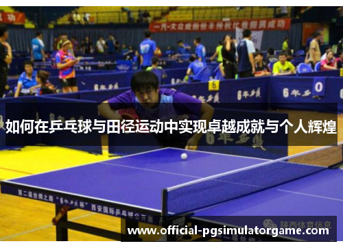 如何在乒乓球与田径运动中实现卓越成就与个人辉煌