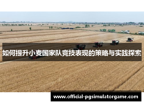 如何提升小麦国家队竞技表现的策略与实践探索