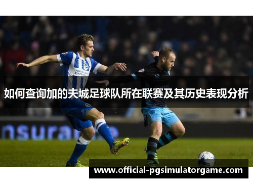 如何查询加的夫城足球队所在联赛及其历史表现分析