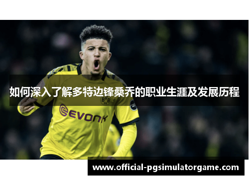 如何深入了解多特边锋桑乔的职业生涯及发展历程