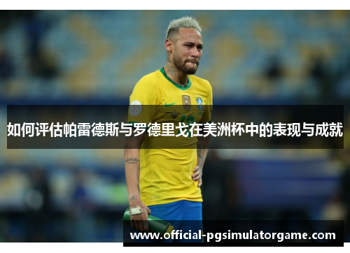 如何评估帕雷德斯与罗德里戈在美洲杯中的表现与成就